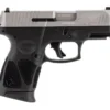 Taurus G3C Black Gray