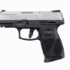 Taurus G2C matte stainless