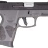 Taurus G2C 12rd Gray